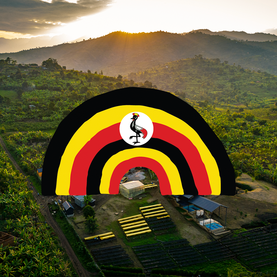 Uganda