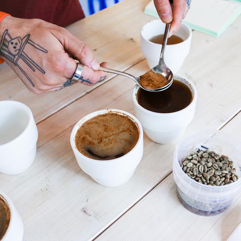 BREWGUIDE | Cupping with Lykke - Lykke Kaffegårdar