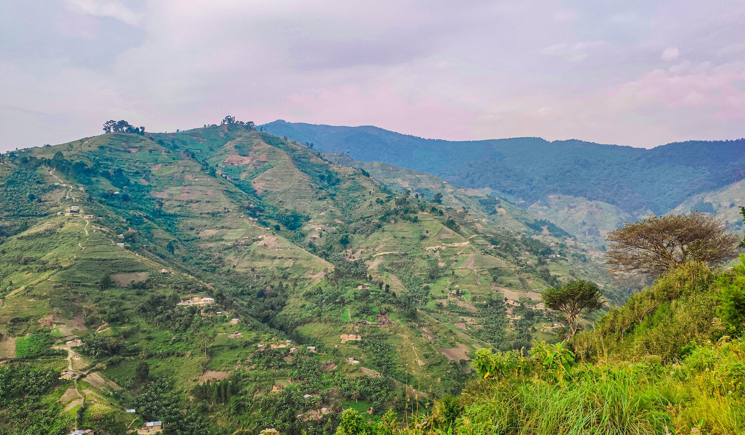 2400x1400_uganda_hero_.jpg__PID:dbd3f723-17d1-4575-a547-ccf1c3cf330a