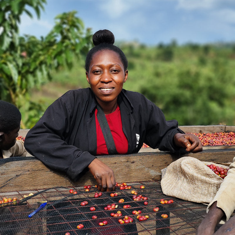 800x800_Uganda-lykke_kaffegårdar_5.jpg__PID:6901868d-84e0-4403-b184-0e879a5ad158