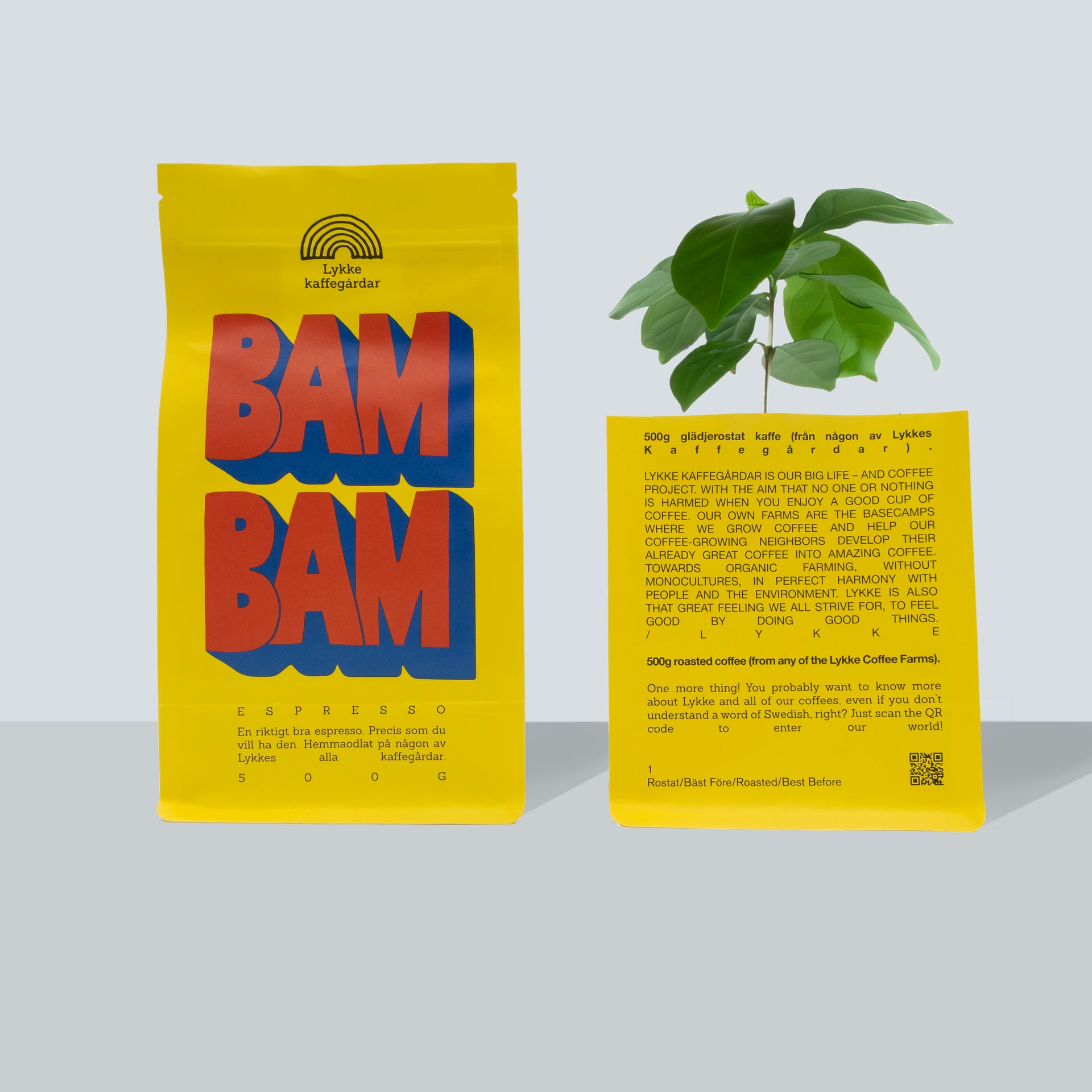 Photo of BAM BAM! 500g