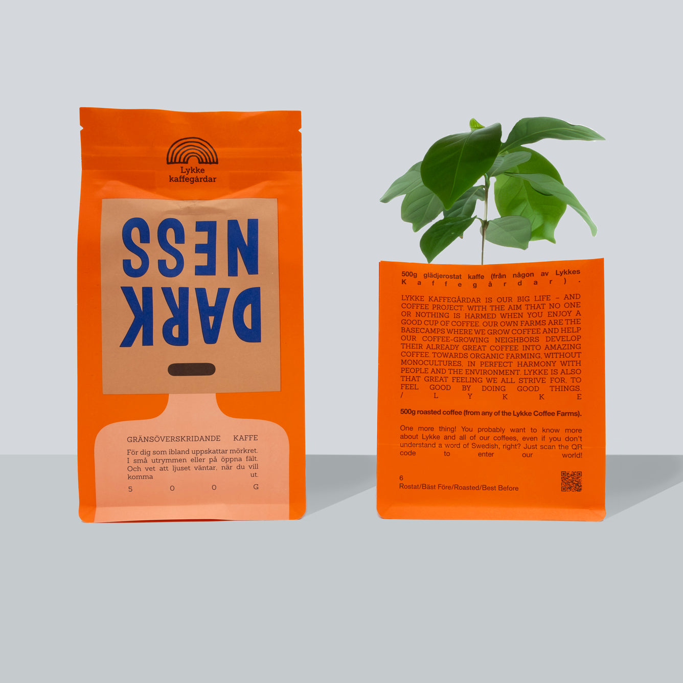 Darkness 500g