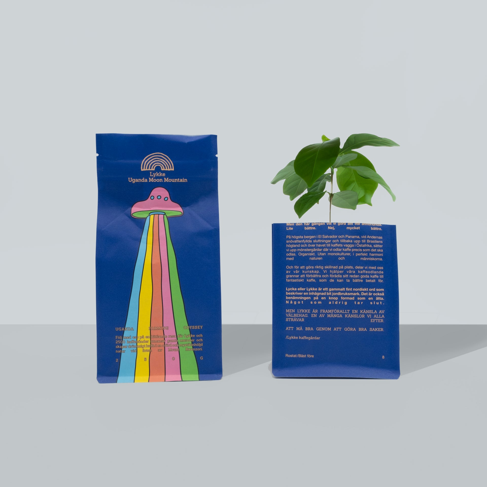Photo of UFO 250g