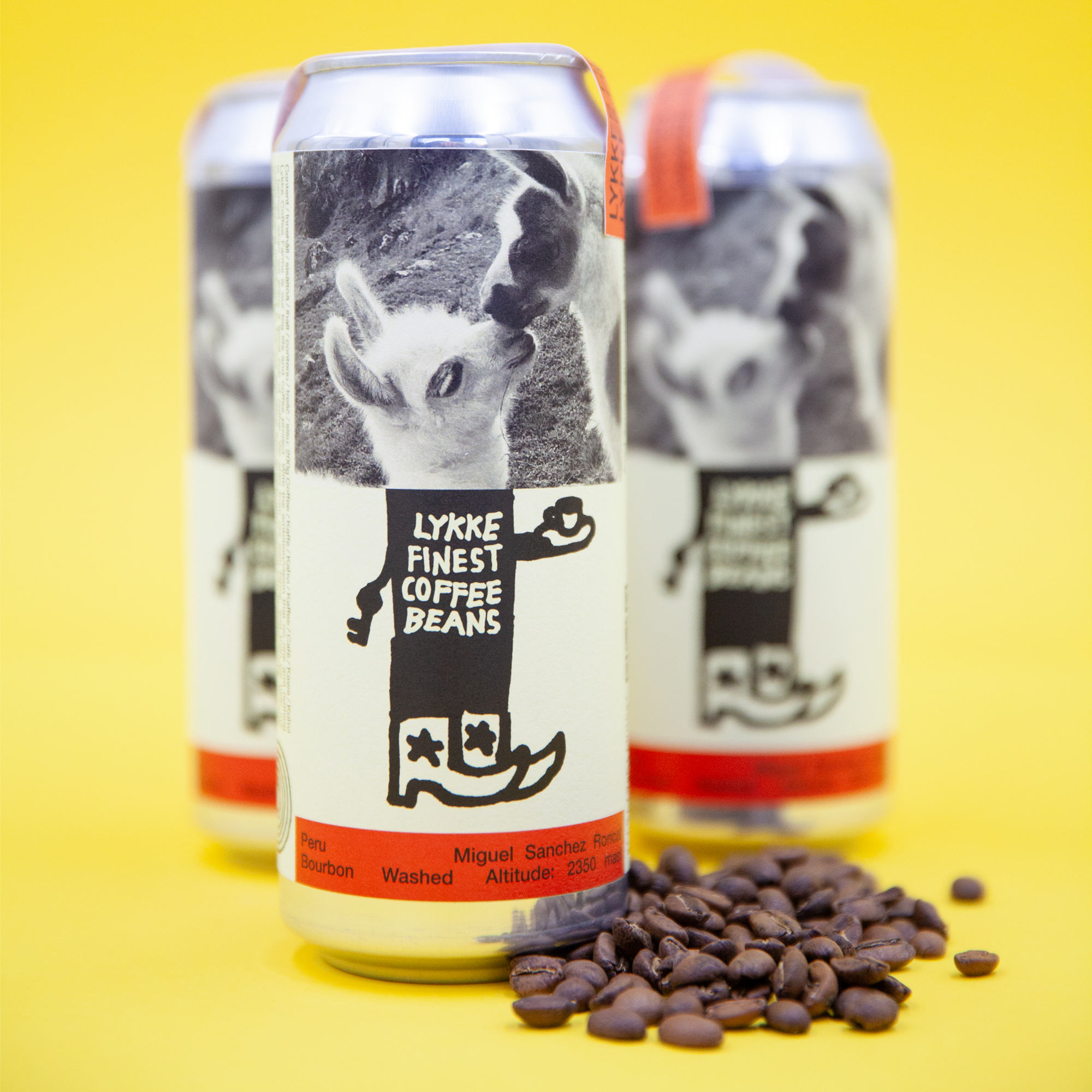 2 LYKKE CANS - MIGUEL SÁNCHEZ RONCAL (SAVE 20%)